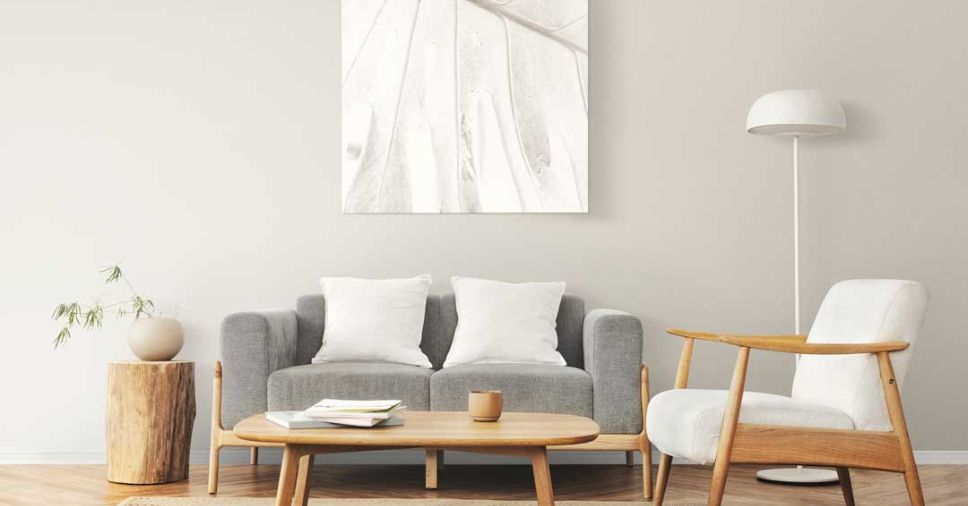 Saiba mais sobre decoração orgânica nos ambientes do lar!